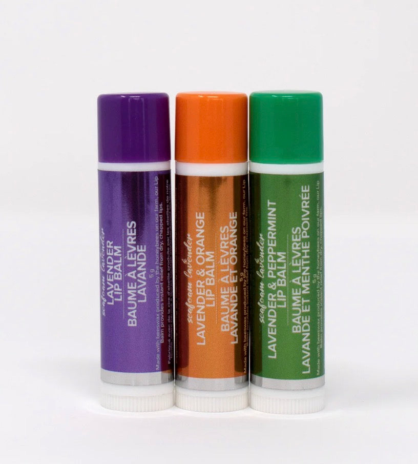 Seafoam Lavender Lip Balm